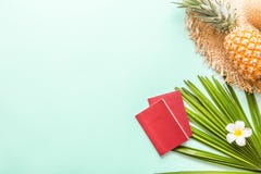 Flache gelegte Einzelteile der Reise: frische Ananas, tropische Blume und Palmblatt Platz f?r Text Beschneidungspfad eingeschloss stockbilder Flache gelegte Einzelteile der Reise: frische Ananas, tropische Blume und Palmblatt Platz f?r Text Beschneidungspfad eingeschloss stockbilder