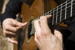 flamenco arkivfoton flamenco arkivfoton