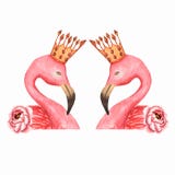 Flamingo, an exotic bird. Beautiful bird on white background. perfect for your design. stock illustration Flamingo, an exotic bird. Beautiful bird on white background. perfect for your design. stock illustration
