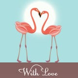 Flamingo Love. Vector Illustration Royalty Free Stock Image Flamingo Love. Vector Illustration Royalty Free Stock Image
