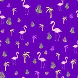 Flamingo palm seamless pattern royalty free illustration Flamingo palm seamless pattern royalty free illustration