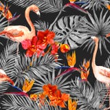 Flamingo, tropische Blätter, exotische Blumen Nahtloses Muster, schwarzer Hintergrund watercolor Stockfotografie Flamingo, tropische Blätter, exotische Blumen Nahtloses Muster, schwarzer Hintergrund watercolor Stockfotografie