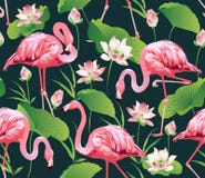 Flamingo-Vogel und tropischer Lotos Blumen-Hintergrund - nahtloses Muster stock abbildung Flamingo-Vogel und tropischer Lotos Blumen-Hintergrund - nahtloses Muster stock abbildung
