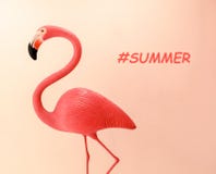 Flamingoform auf korallenrotem Farbsteigungshintergrund Ebene legen minimalen, modischen Sommerkonzeptplan stockbild Flamingoform auf korallenrotem Farbsteigungshintergrund Ebene legen minimalen, modischen Sommerkonzeptplan stockbild