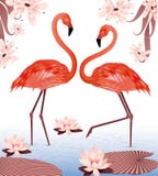 Flamingos Royalty Free Stock Photo Flamingos Royalty Free Stock Photo