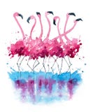 Flamingos watercolor painting stock illustration Flamingos watercolor painting stock illustration
