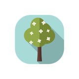 Flat design blooming deciduous tree vector illustration Flat design blooming deciduous tree vector illustration