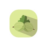 Flat design Gooseberry royalty free illustration Flat design Gooseberry royalty free illustration