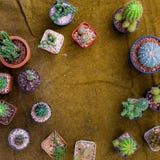 Flat Lay Or Top View Of Different Types Of Beautiful Cactus On The Vintage Canvas. Royalty Free Stock Photos