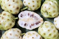 Flat lay view of Cheese fruit Noni fruit in Rarotonga Cook Islands stock photos Flat lay view of Cheese fruit Noni fruit in Rarotonga Cook Islands stock photos
