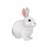 Flat vector design of adorable rabbit. Cute mammal animal. White bunny with long pink ears. Home pet