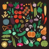 Flat Vegetables Set. Color Carrot Onion Cucumber Tomato Potato Eggplant. Vegan Healthy Meal Organic Food Vegetable Stock Images Flat Vegetables Set. Color Carrot Onion Cucumber Tomato Potato Eggplant. Vegan Healthy Meal Organic Food Vegetable Stock Images