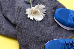 Flatlay Hintergrund des Sports lizenzfreie stockfotos Flatlay Hintergrund des Sports lizenzfreie stockfotos