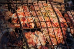 Flavorful meat on the grill with smoke in forest Stock Image Flavorful meat on the grill with smoke in forest Stock Image