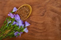 Flax seeds in vintage spoon with linum plants and lin flower on Royalty Free Stock Image Flax seeds in vintage spoon with linum plants and lin flower on Royalty Free Stock Image