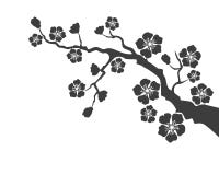 Fleur de Sakura sur le fond blanc illustration de vecteur Fleur de Sakura sur le fond blanc illustration de vecteur