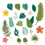 Fleur tropicale et élément tropical de feuille illustration stock Fleur tropicale et élément tropical de feuille illustration stock
