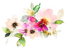 Fleurit l'illustration d'aquarelle Illustration de Vecteur Fleurit l'illustration d'aquarelle Illustration de Vecteur