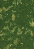 Fleurs conception, papier, texture, abstrait, photographie stock Fleurs conception, papier, texture, abstrait, photographie stock