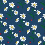 Fleurs et coccinelles de marguerite de point brodées par modèle sans couture sur un fond bleu Vecteur illustration stock Fleurs et coccinelles de marguerite de point brodées par modèle sans couture sur un fond bleu Vecteur illustration stock