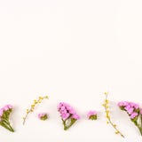 Fleurs sur un fond blanc - bonjour ressort et bonjour été photographie stock libre de droits Fleurs sur un fond blanc - bonjour ressort et bonjour été photographie stock libre de droits