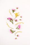 Fleurs sur un fond blanc - bonjour ressort et bonjour été photo libre de droits Fleurs sur un fond blanc - bonjour ressort et bonjour été photo libre de droits