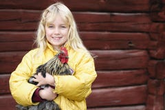 Flicka och rooster arkivfoto Flicka och rooster arkivfoto