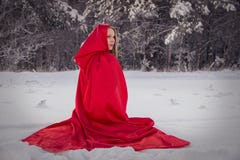 Flickan i liten röd ridninghuv för dräkt med hunden gillar en varg fotografering för bildbyråer Flickan i liten röd ridninghuv för dräkt med hunden gillar en varg fotografering för bildbyråer