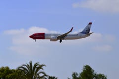 Fliegen über die Palmen lizenzfreie stockfotos Fliegen über die Palmen lizenzfreie stockfotos