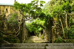 Flight of steps royalty free stock images Flight of steps royalty free stock images