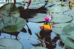 Floating basket or `Krathong` in Thai word, is floating on lotus pond. royalty free stock photography Floating basket or `Krathong` in Thai word, is floating on lotus pond. royalty free stock photography