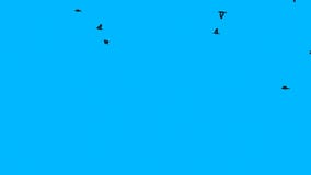 Flock Of Birds Flying Abstract Blue Background