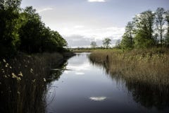 Flod av fred royaltyfri bild Flod av fred royaltyfri bild