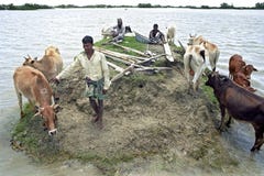 Flooding In The Delta Bangladesh, Climate Change Royalty Free Stock Photography Flooding In The Delta Bangladesh, Climate Change Royalty Free Stock Photography