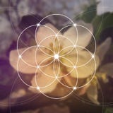 Flor de la vida - el entrelazar circunda símbolo antiguo Geometría sagrada Matemáticas, naturaleza, y espiritualidad adentro ilustración del vector Flor de la vida - el entrelazar circunda símbolo antiguo Geometría sagrada Matemáticas, naturaleza, y espiritualidad adentro ilustración del vector