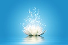 Resultado de imagen para flor de loto iluminada