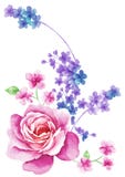 Flor del ejemplo de la acuarela en fondo simple libre illustration Flor del ejemplo de la acuarela en fondo simple libre illustration