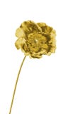 Flor dourada Imagem de Stock Royalty Free Flor dourada Imagem de Stock Royalty Free