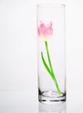 Flor en el florero de cristal imagen de archivo libre de regalías Flor en el florero de cristal imagen de archivo libre de regalías
