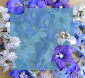 Flor, roxo, mola, natureza, roxo, flores, azul, planta, florescendo, flor, floral, jardim, floral, branco, pétala, isolada, fotografia de stock royalty free Flor, roxo, mola, natureza, roxo, flores, azul, planta, florescendo, flor, floral, jardim, floral, branco, pétala, isolada, fotografia de stock royalty free