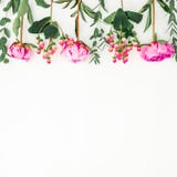 Floral border frame with pink peonies, hypericum and eucalyptus on white background. Flat lay, top view stock photos Floral border frame with pink peonies, hypericum and eucalyptus on white background. Flat lay, top view stock photos