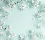 Floral Composition With Light, Airy Masses Of Small White Flowers On Turquoise Blue Background, Top View, Frame. Stock Images Floral Composition With Light, Airy Masses Of Small White Flowers On Turquoise Blue Background, Top View, Frame. Stock Images