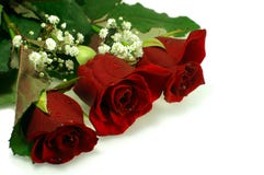 Floral Composition With Three Nice Red Roses Royalty Free Stock Images Floral Composition With Three Nice Red Roses Royalty Free Stock Images