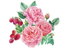 Floral decoration. Watercolor Bouquet. Raspberry, rose, leaves and peony flowers, botanical illustration