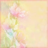 Floral Greeting Card With Peach Flowers On Hazy Background In Pastel Colors Stock Image Floral Greeting Card With Peach Flowers On Hazy Background In Pastel Colors Stock Image