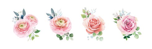 Set of floral romantic bouquets for wedding invite or greeting card. Pink peach Roses flower with Greenery leaves.