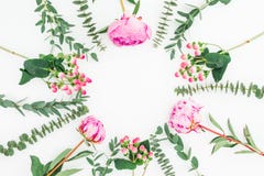 Floral round frame of pink peonies flowers and eucalyptus branches on white background. Flat lay, top view royalty free stock photo Floral round frame of pink peonies flowers and eucalyptus branches on white background. Flat lay, top view royalty free stock photo