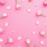 Floral Round Frame With Roses Flowers And Petals On Pastel Pink Background. Flat Lay, Top View. Valentines Background Stock Photos