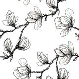 Floral Seamless Pattern. Blooming Magnolia On A White Background. Print For Fabric And Other Surfaces. Raster Illustration.Black Stock Photography