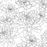 Floral Seamless Wallpaper Royalty Free Stock Images